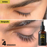 SERUM UP PRO Alargamiento de pestañas y cejas